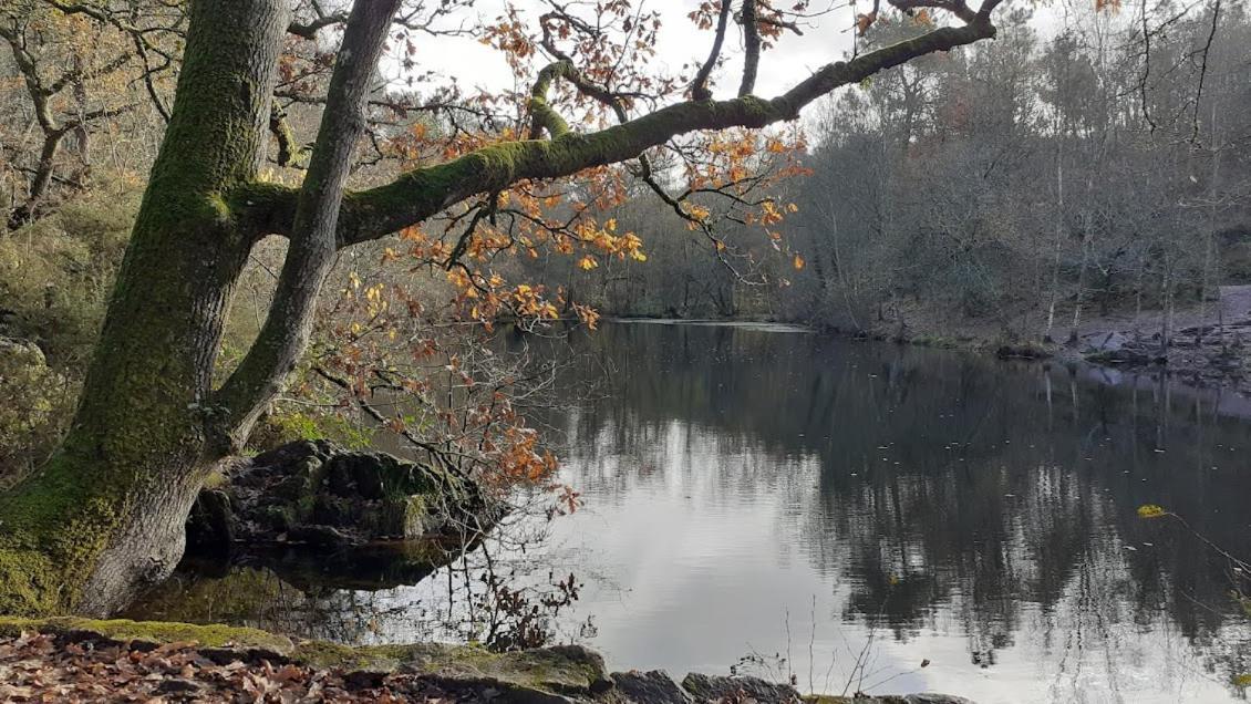 Gite La Lisiere, En Broceliande Neant-sur-Yvel Exterior photo