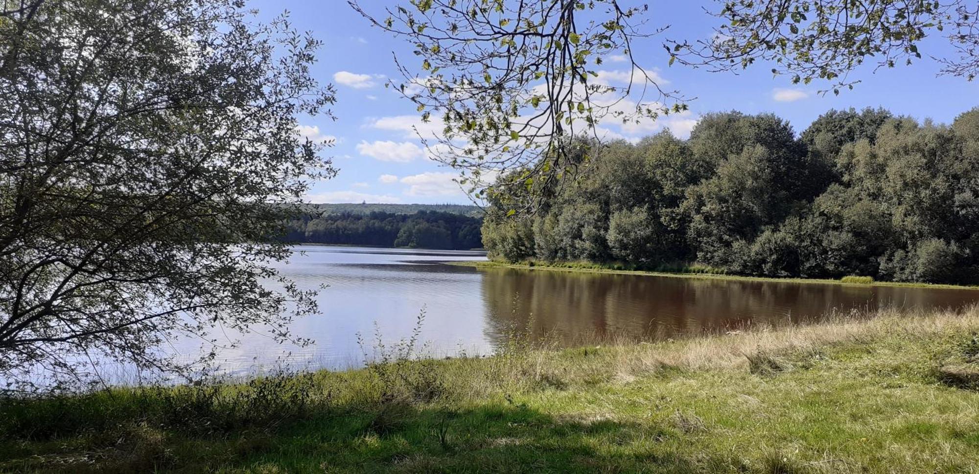 Gite La Lisiere, En Broceliande Neant-sur-Yvel Exterior photo