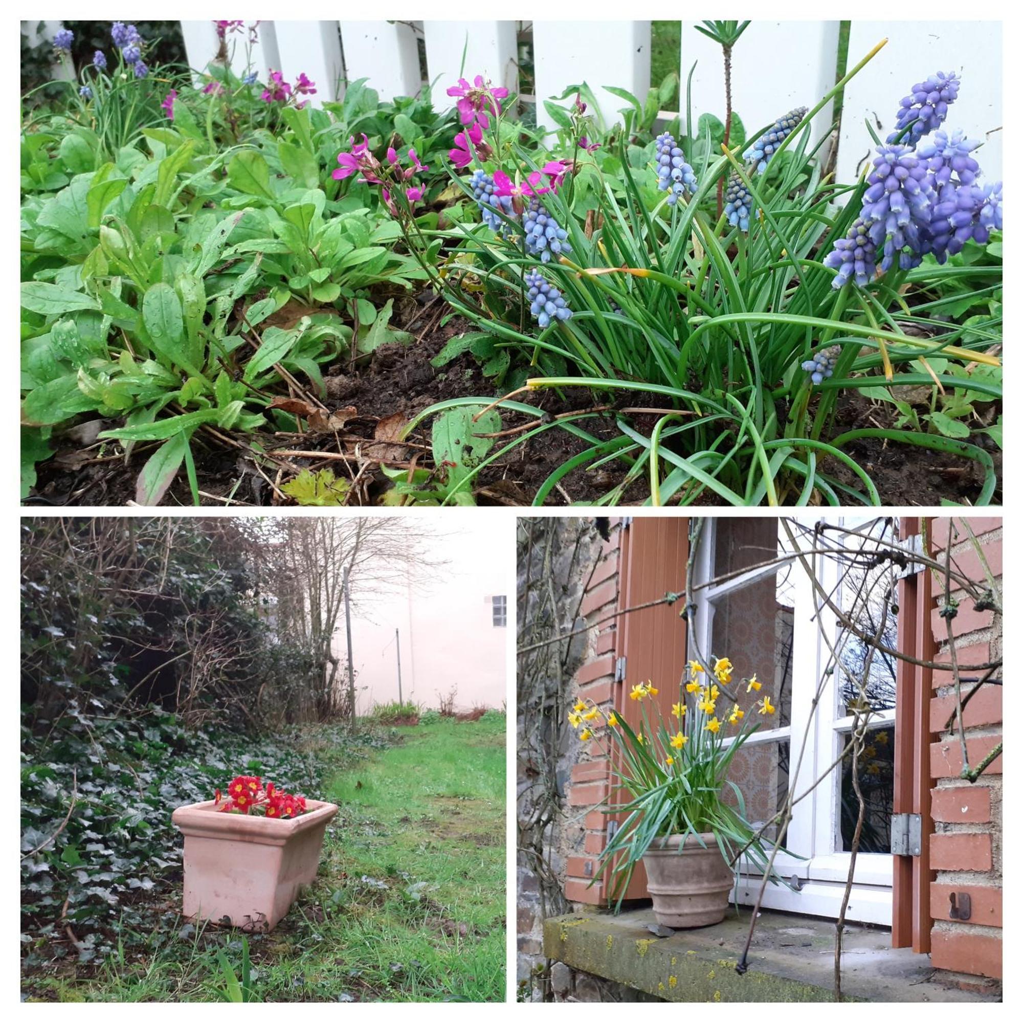 Gite La Lisiere, En Broceliande Neant-sur-Yvel Exterior photo